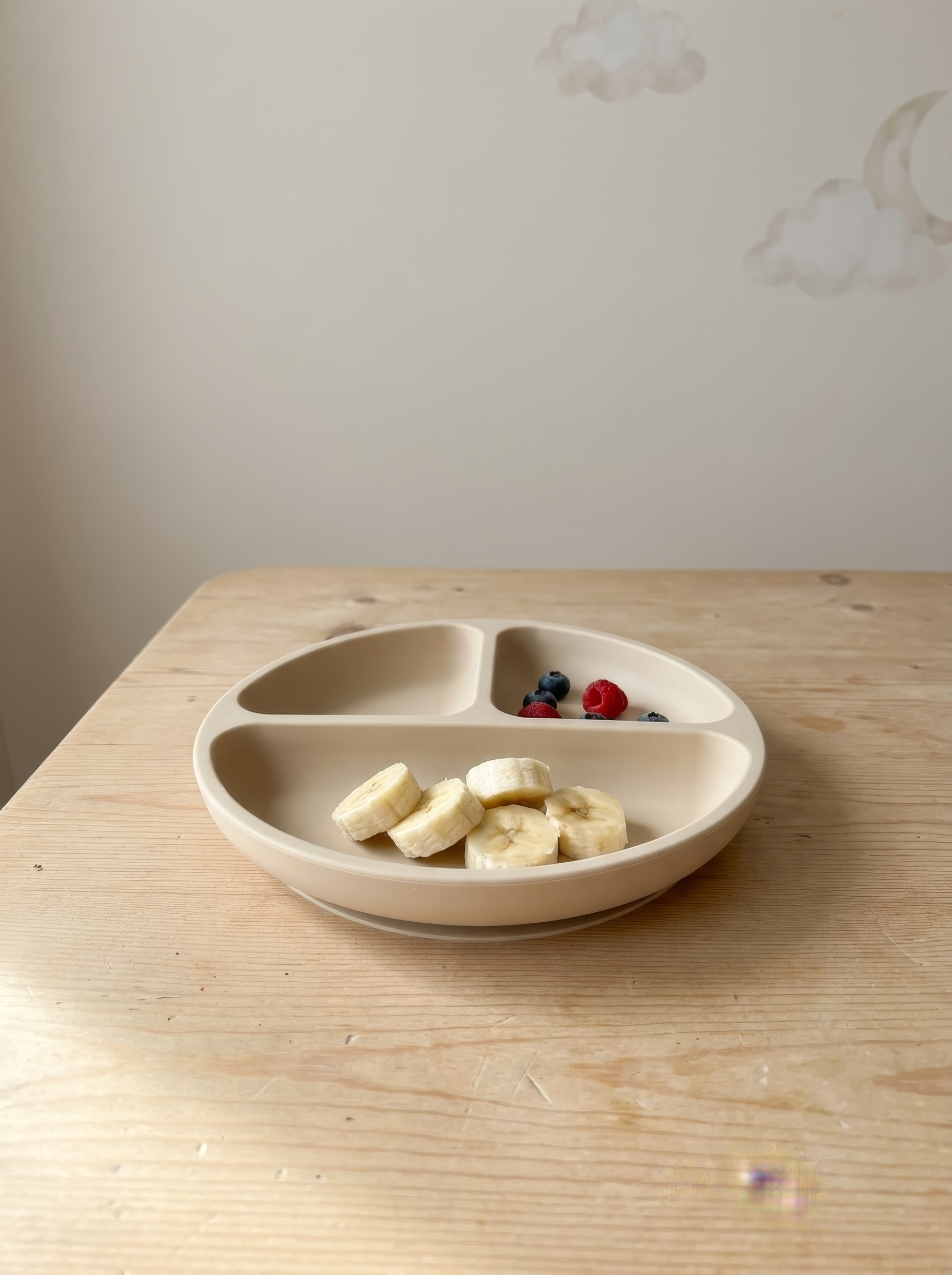Silicone Suction Plate