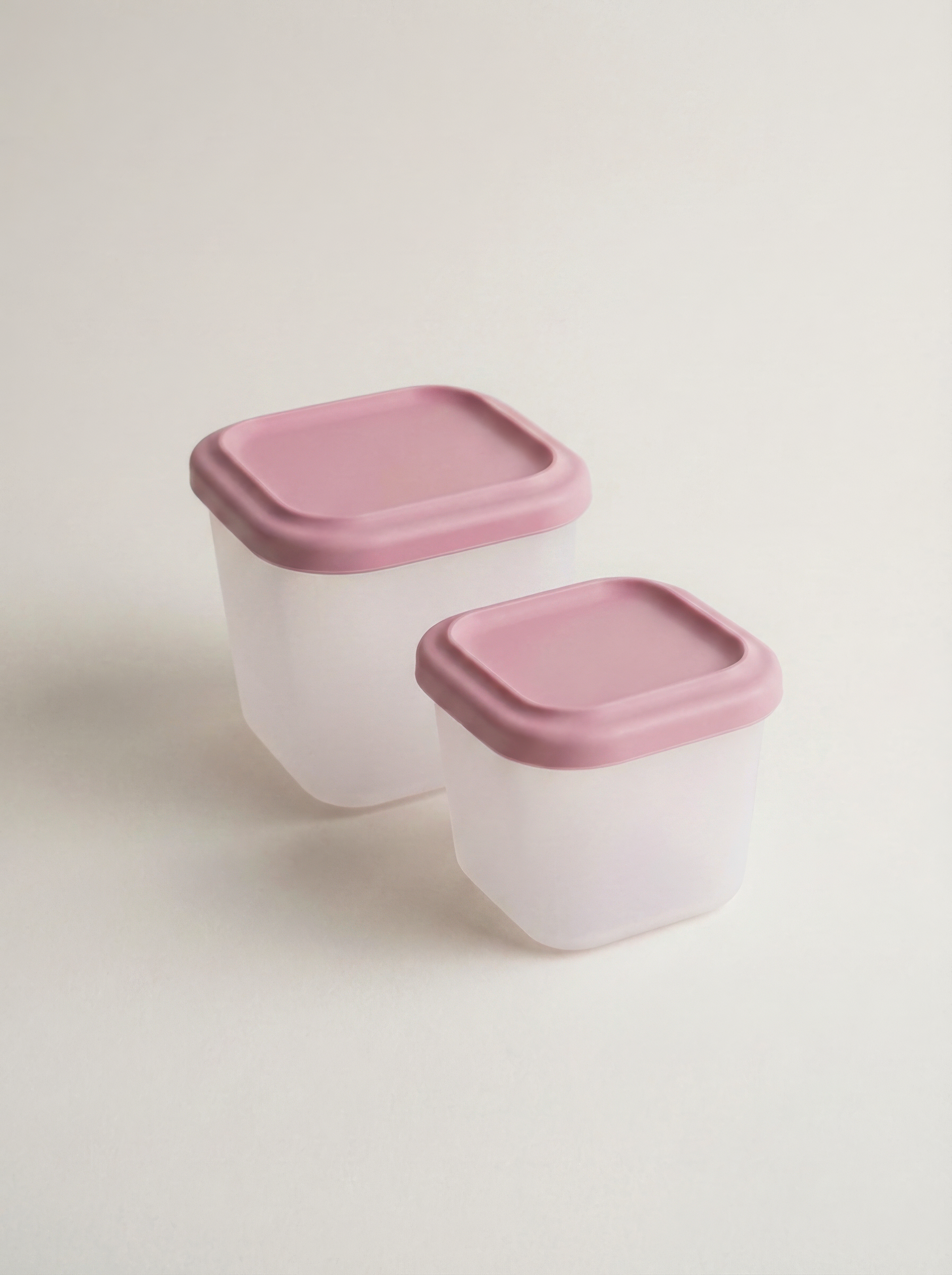 Snack Containers (2-Pack)